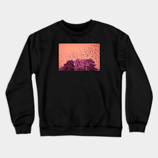 The Birds / Swiss Artwork Photography Crewneck Sweatshirt